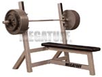 olympic bench
