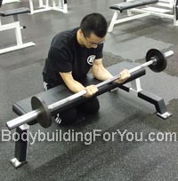 barbell wrist curl exercise